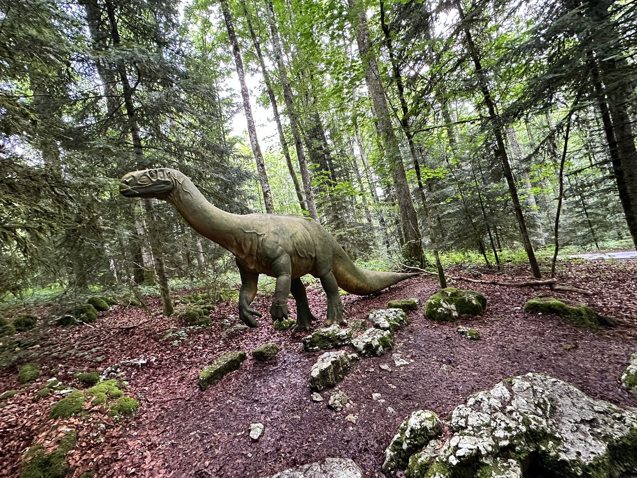 Grottes et Préhisto-Parc